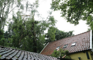 Tak van boom breekt af door blikseminslag en beschadigt woning Kanaalweg Delft