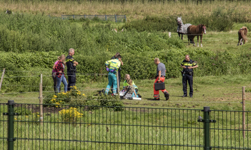13 augustus Meisje gewond na trap van paard Polderweg Schiedam