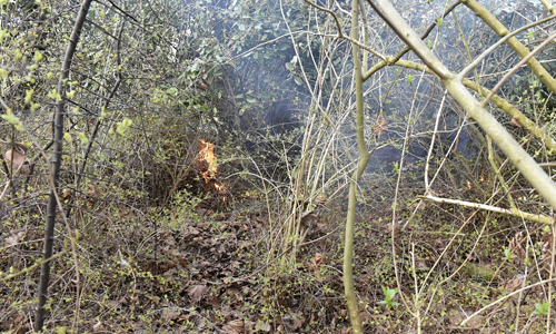 Media Terplaatse_brandje_ketelmeerlaan_ldn_08042015_Image00100