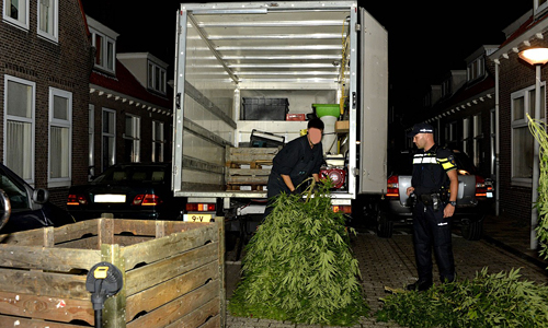 Media Terplaatse_hennep_woning_ldn_21092014_Image00100