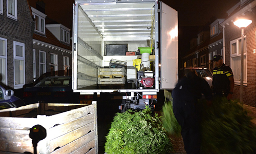 Media Terplaatse_hennep_woning_ldn_21092014_Image00101