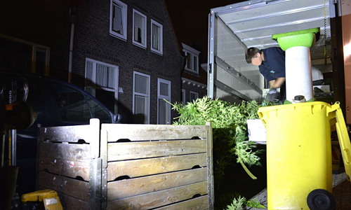 Media Terplaatse_hennep_woning_ldn_21092014_Image00102