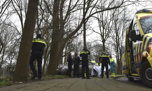 Media_Terplaatse_auto_boom_houtlaan_leiden_09022015_Image00202