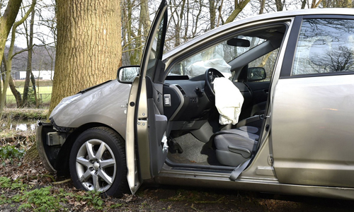 Media_Terplaatse_auto_boom_houtlaan_leiden_09022015_Image00204