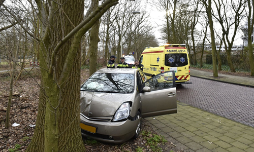 Media_Terplaatse_auto_boom_houtlaan_leiden_09022015_Image00206