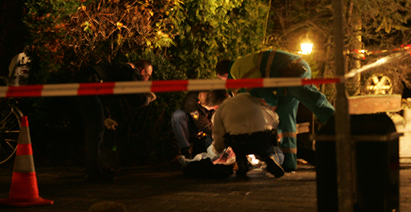 Gewonde bij steekpartij Pauwhof