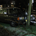 Personenauto versus boom Jan Joostenplein Delft