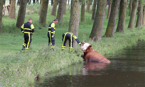 Schermafbeelding 2016-07-16 om 16.29.45