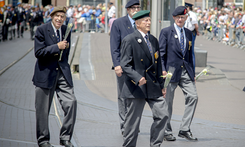 Veteranendag (23)
