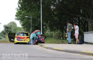 Agressieve wespen steken drie voorbijgangers Ingenieur Veltplein Zoetermeer
