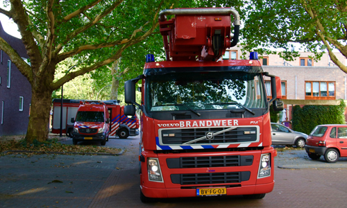 27 juli Grote zoektocht naar kwijtgeraakte papegaai Bart Verhallenplein Schiedam