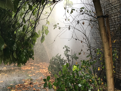 14 augustus Spuiter naast bedrijfspand ‘s-Gravelandseweg Schiedam