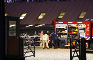 3 december Brandweer redt paard uit koude sloot Broekpolderweg Vlaardingen