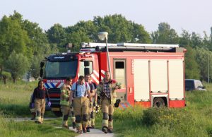 Badderende koe klimt bij aankomst brandweer op het droge Holyweg Vlaardingen