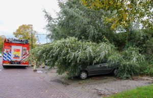 Boom valt op auto Spoorsingel Vlaardingen