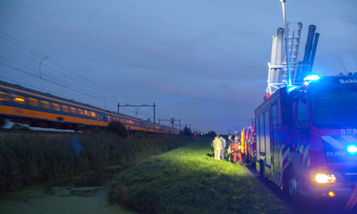 27 september Koe ontregelt treinverkeer Groeneweg Schiedam