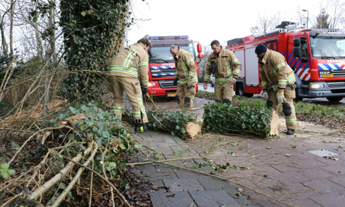 4 januari Fietspad gestremd door omgevallen boom Floris de Vijfdelaan