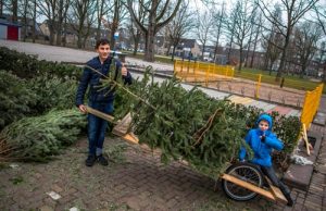 28 december Aanzienlijk minder kerstbomen ingeleverd door kinderen Vlaardingen