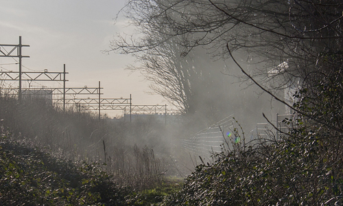 15 maart Brandweer op onderzoek uit vanwege rookwolk Horvathweg Schiedam