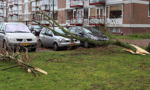18 maart Schade aan auto door omgevallen boom Van Viandenstraat Vlaardingen
