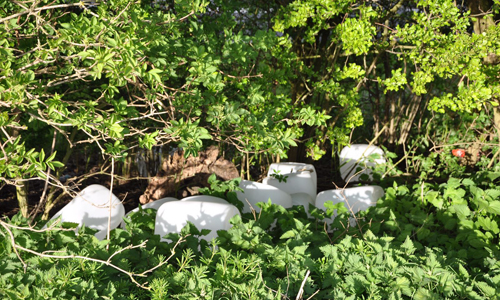 17 april Vaten gedumpt in het Oeverbos Maassluissedijk Vlaardingen