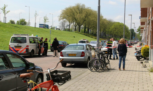 4 mei Vrouw en hond gewond na steekpartij Schiedamsedijk Beneden Schiedam