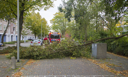 1 oktober Brandweer verwijdert boom over de weg van Baerlestraat Vlaardingen