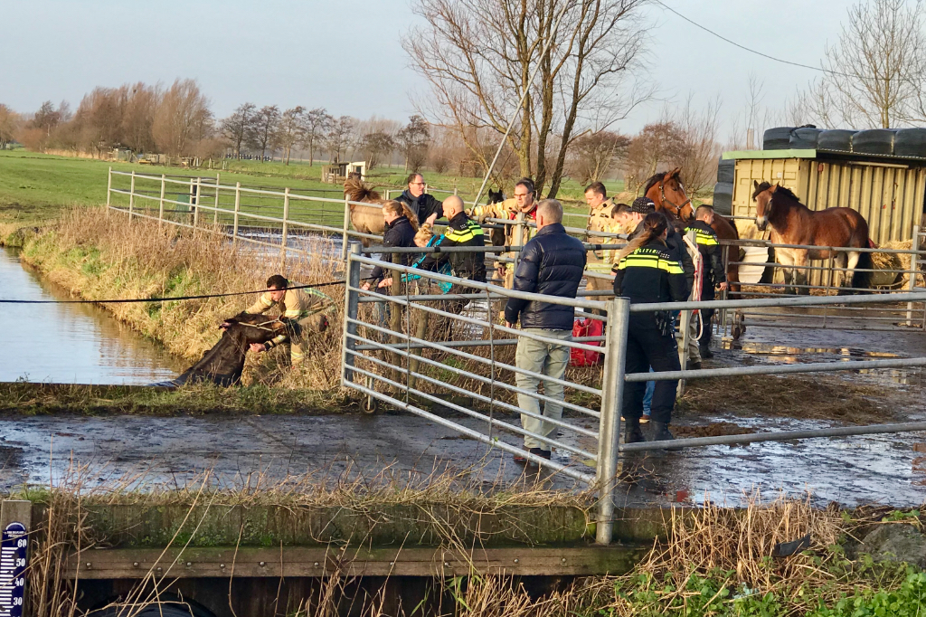 30 december Brandweer redt paard uit de sloot Oostveenseweg Schiedam