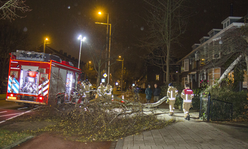 29 november Boom over fietspad gewaaid Knappertlaan Schiedam
