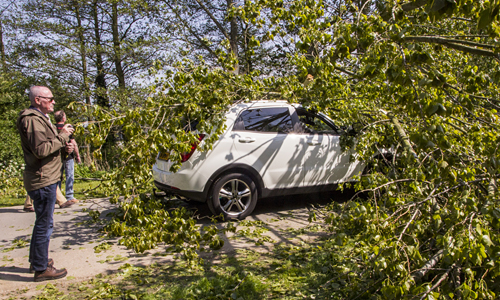 20 april Boom valt op rijdende auto Vlaaringen