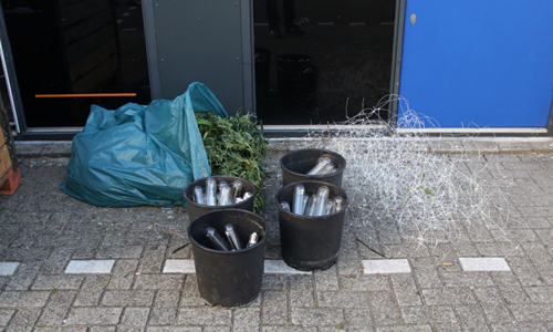 15 juli Hennepkwekerij in bedrijfspand ontmanteld Rotterdam