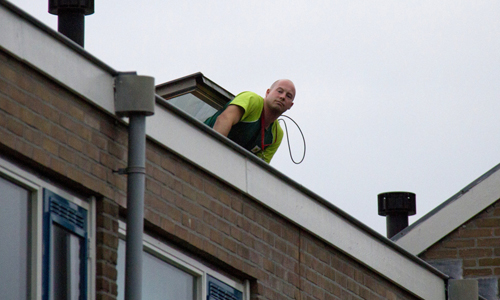 3 september Kat springt vrijheid tegemoet Vlaardingen