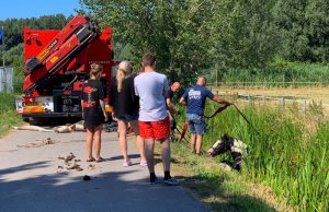 Paard met ruiter te water Broekpolderweg Vlaardingen