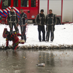 Schiedam – Meeuw vastgevroren op het ijs