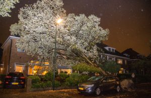 Meerdere meldingen van stormschades in de regio