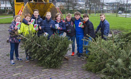 2 januari Kerstbomen weer massaal ingeleverd Olmendreef Vlaardingen
