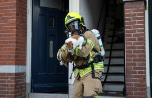 Kat gered bij woningbrand J A Alberdingk Thijmstraat Schiedam
