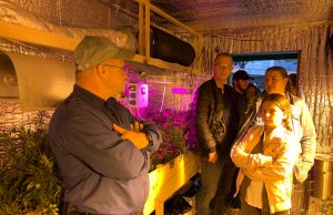 Hennepkwekerij op het Veerplein Vlaardingen