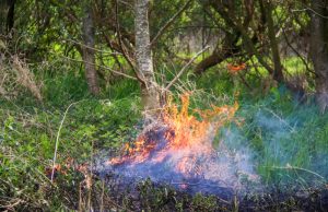 Grasveld in brand gestoken Harreweg Schiedam
