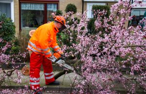 Brandweer haalt boom weg Kievitslaan Schiedam