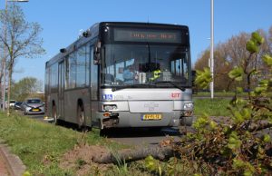 Bus botst tegen boom na aanval door passagier Stadhoudersweg Rotterdam