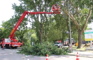 “Bomenman” verwijdert samen met brandweer gevaarlijk hangende takken Schiedamseweg Schiedam