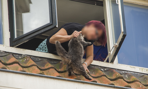 18 juli Kat uit de dakgoot geplukt Mahlerstraat Vlaardingen