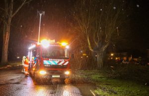 Boom valt op weg Prinses Beatrixlaan Schiedam
