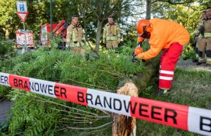 Brandweer verwijdert grote afgebroken tak Maassluissedijk Vlaardingen