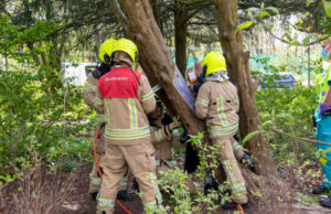 Kind met zijn been vast in een boom Julianapark Schiedam