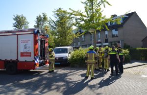 Hulpdiensten rukken uit voor melding gaslekkage aan Dijkgraaf in Maasland