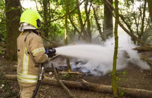 Brand in natuurgebied Boonerlucht Maassluis