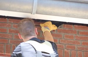 Brandweer bevrijdt vogeltje in gevel Glansvogellaan Den Haag