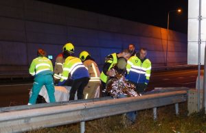 Busje knalt op wegsplitsing A4 – A4 Schiedam / Vlaardingen